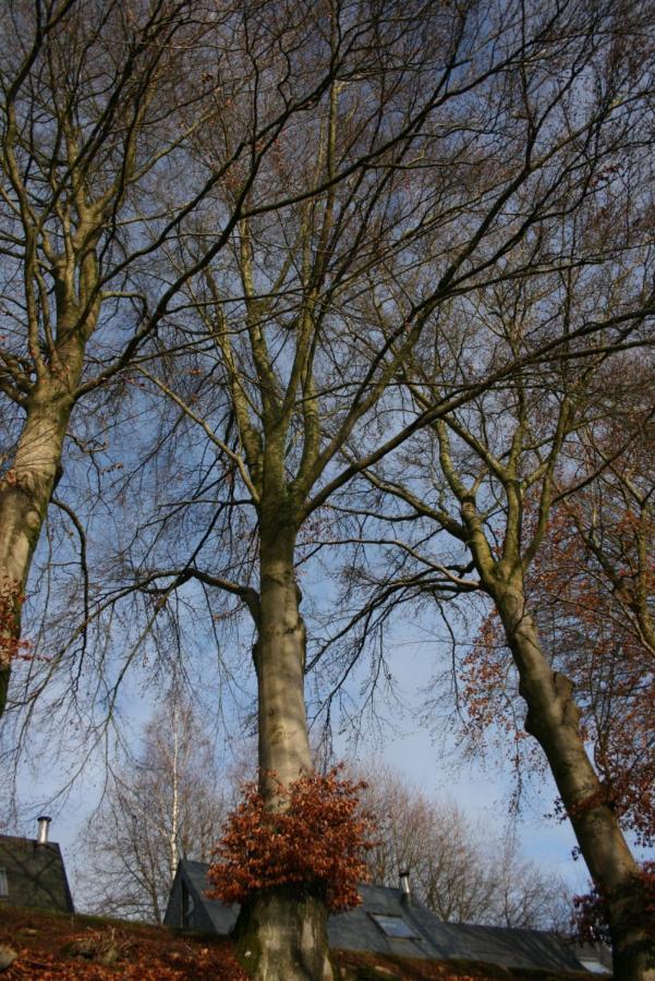 Le LUMADEL ex Parc de Malmedy bis Lägenhet Exteriör bild