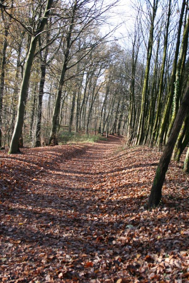 Le LUMADEL ex Parc de Malmedy bis Lägenhet Exteriör bild