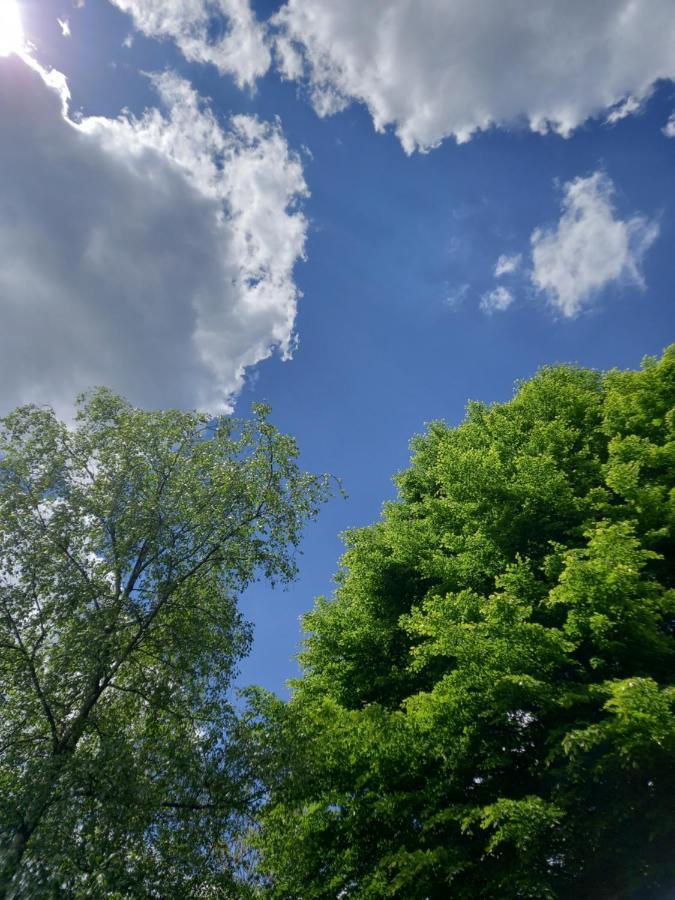 Le LUMADEL ex Parc de Malmedy bis Lägenhet Exteriör bild
