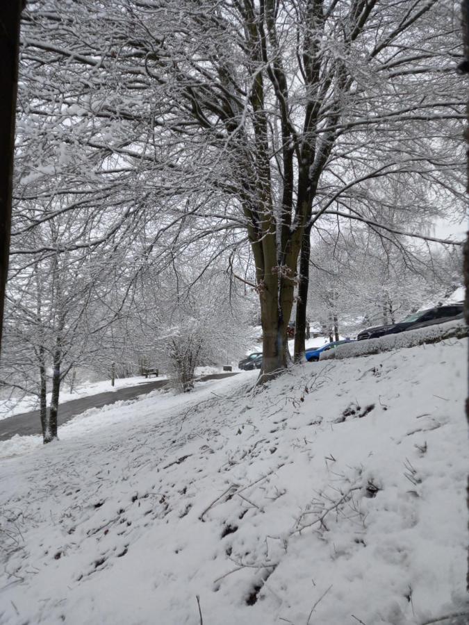 Le LUMADEL ex Parc de Malmedy bis Lägenhet Exteriör bild