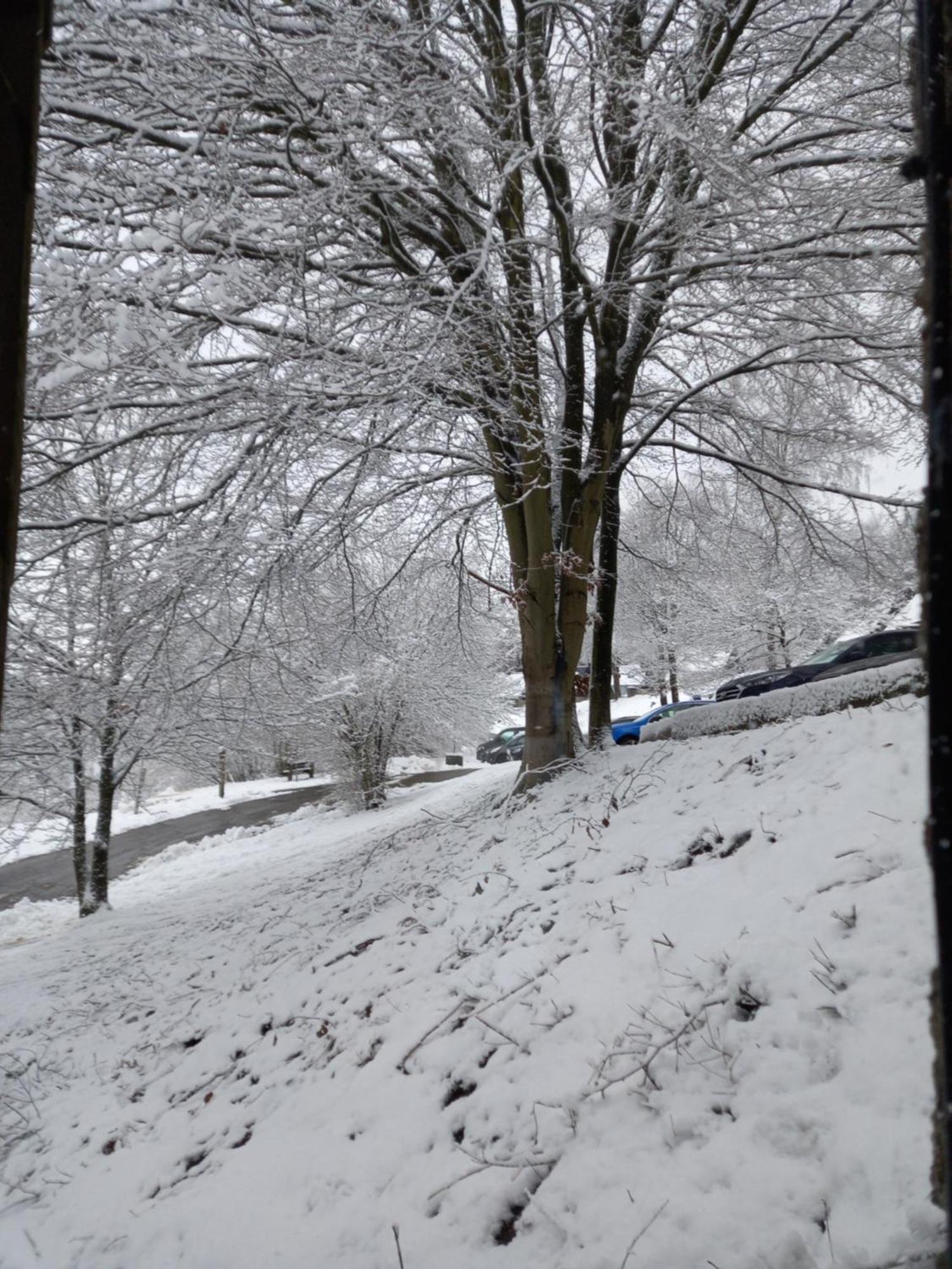 Le LUMADEL ex Parc de Malmedy bis Lägenhet Exteriör bild
